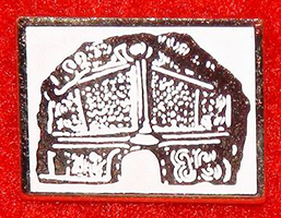 Pin